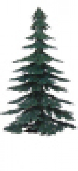 753 Fir Tree