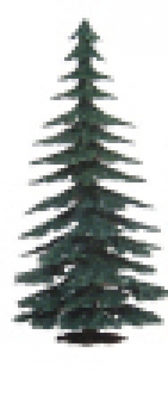 754 Fir Tree