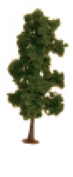 761 Tree